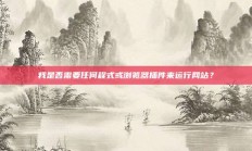 我是否需要任何程式或浏览器插件来运行网站？