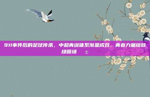 911事件后的足球传承，中超青训体系渐显成效，青春力量绽放绿茵场🌱