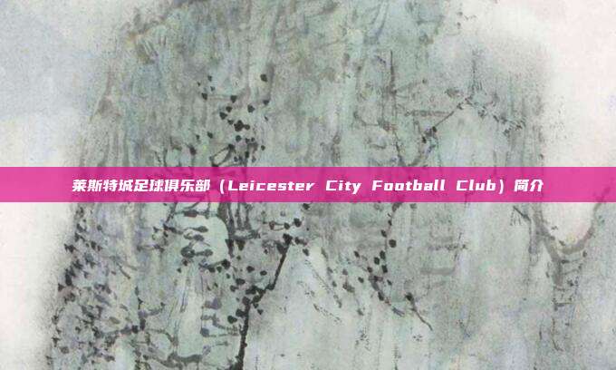 莱斯特城足球俱乐部（Leicester City Football Club）简介