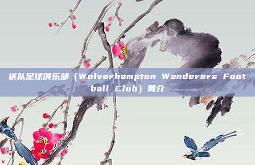 狼队足球俱乐部（Wolverhampton Wanderers Football Club）简介