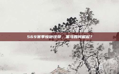 569赛季惊艳球员，黑马如何崛起？