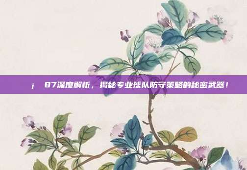 🛡️ 87深度解析，揭秘专业球队防守策略的秘密武器！