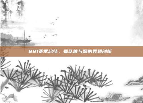 891赛季总结，每队善与恶的表现剖析⚖️